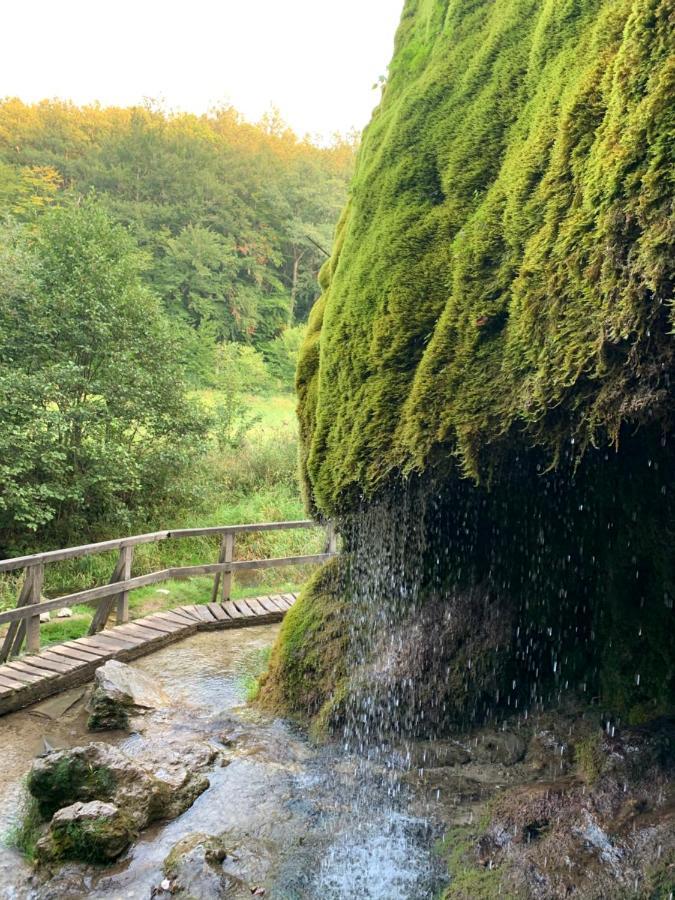 Ferienhaus Backesgarten Fuer 22 Personen Neichen Экстерьер фото